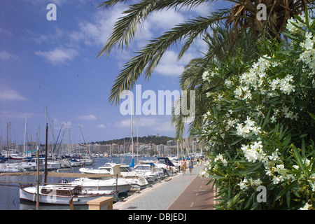 Le chemin au bord de l'eau pour la randonnée à pied ou à vélo, aux côtés des bateaux dans le port de plaisance de Palma de Majorque Banque D'Images