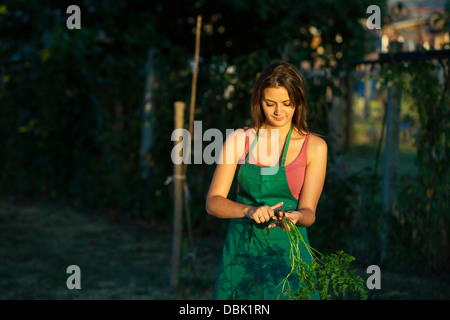 Jeune femme dans l'épluchage des carottes, le jardin la Croatie, Slavonie, Europe Banque D'Images