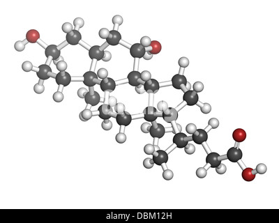 L'Ursodiol (ursodeoxycholic acid, UDCA) médicament Traitement des calculs biliaires, la structure chimique. Banque D'Images