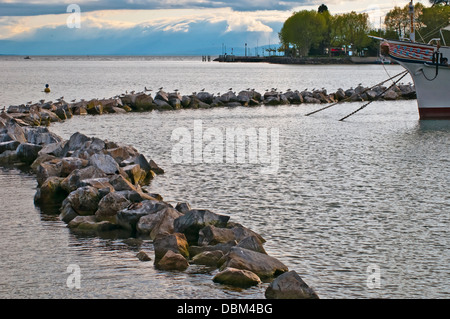 Stone Ridge près de Pier, le Lac Léman ou le Lac Léman, Lausanne, Suisse, Europe de l'Ouest Banque D'Images