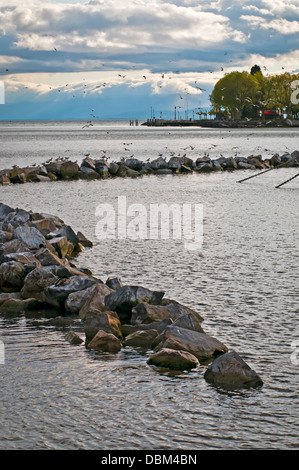 Vue sur le lac de Genève ou lac Léman avec Stone Ridge, Lausanne, Suisse, Europe de l'Ouest Banque D'Images
