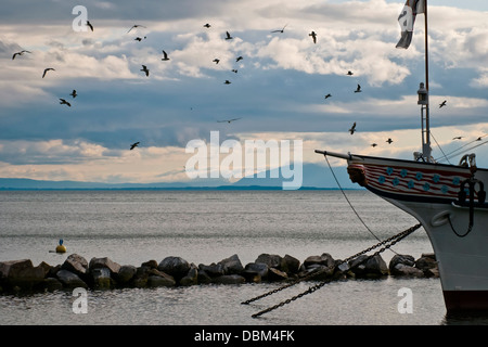 Panorama du lac de Genève ou lac Léman,fin de journée, Lausanne, Suisse, Europe de l'Ouest Banque D'Images