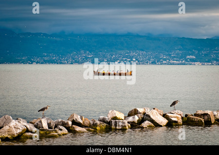 Paysage du lac de Genève ou lac Léman avec voile , Lausanne, Suisse, Europe Banque D'Images