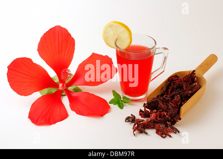Bissap. Boisson typique du Sénégal. Rozelle. Hibiscus rouge médicinales. Hibiscus sabdariffa. Banque D'Images
