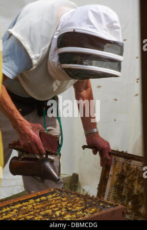 Nouvelle Forêt & Hampshire County Show, près de Brockenhurst, Hampshire UK 1 août 2013. Mille troupeau au show le dernier jour que les températures montent et le soleil brille. Démonstration d'abeilles et les ruches. Credit : Carolyn Jenkins/Alamy Live News Banque D'Images