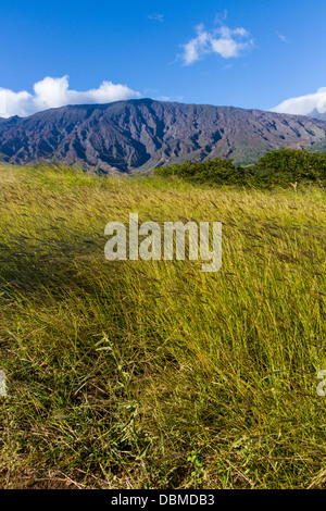 Vue depuis l'autoroute Pi'ilani sur l'île de Maui à Hawaï. Banque D'Images