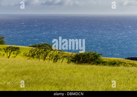 Vue depuis l'autoroute Pi'ilani sur l'île de Maui à Hawaï. Banque D'Images