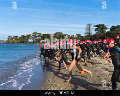 dh AUCKLAND NOUVELLE-ZÉLANDE Womens nageurs course et foulée Waitemata Les femmes du port commencent à nager triathlon zealander les gens de l'eau libre nager course Banque D'Images