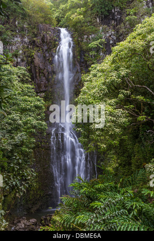 Wailua Falls sur la 'Route de Hana' sur l'île de Maui à Hawaii. Banque D'Images