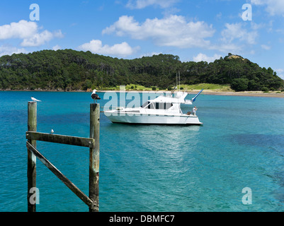 Dh Roberton Island BAY OF ISLANDS NOUVELLE ZÉLANDE Location de cruiser ancrée dans Motuarohia la baie bleu ciel et mer Banque D'Images