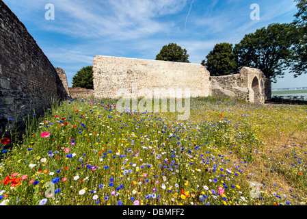 Ruines de la Porte Guillaume Saint Valery sur Somme Picardie France Europe du Nord Banque D'Images