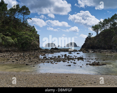 Dh Roberton Island BAY OF ISLANDS Nouvelle-zélande Bay Motuarohia rocky island lagoon et îles au nord île Stony Beach Banque D'Images