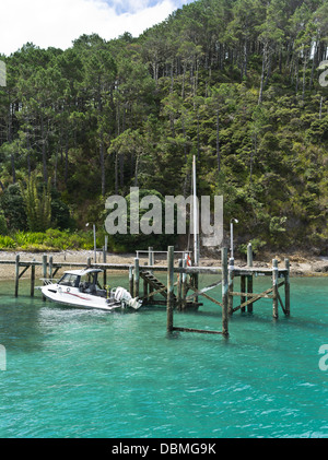 Dh Roberton Island BAY OF ISLANDS NOUVELLE ZÉLANDE jetée ancienne Motuarohia island bateau de vitesse lié Banque D'Images