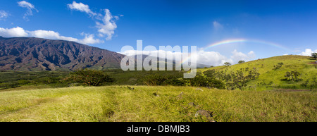 Panorama de vue de l'arrière de la Rainbow Road à Hana sur l'île de Maui à Hawaii. Banque D'Images