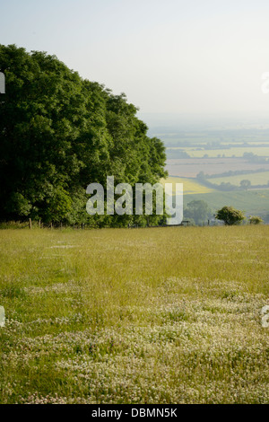 Les marcheurs ou bridleway, près de 'The Ridgeway' un ancien sentier sur la Berkshire downs, Oxfordshire, UK Banque D'Images