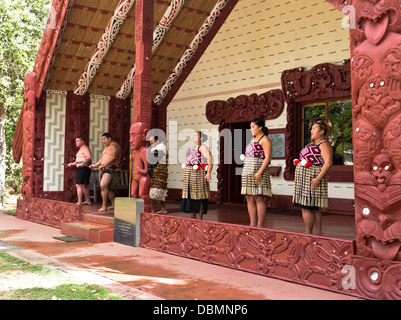 dh Waitangi Traité Grounds BAIE DES ÎLES MAORIS DE NOUVELLE-ZÉLANDE Salutation Whare Runanga Maori rencontre House sculptures gens marae nz culture d'accueil Banque D'Images