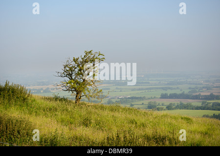 Les marcheurs ou bridleway, près de 'The Ridgeway' un ancien sentier sur la Berkshire downs, Oxfordshire, UK Banque D'Images