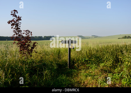 Les panneaux pour les marcheurs, allée ou bridleway,'The Ridgeway' un ancien sentier pédestre isolé sur le Berkshire downs, Oxfordshire, UK Banque D'Images