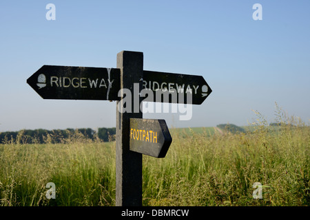 Les panneaux pour les marcheurs, allée ou bridleway,'The Ridgeway' un ancien sentier pédestre isolé sur le Berkshire downs, Oxfordshire, UK Banque D'Images