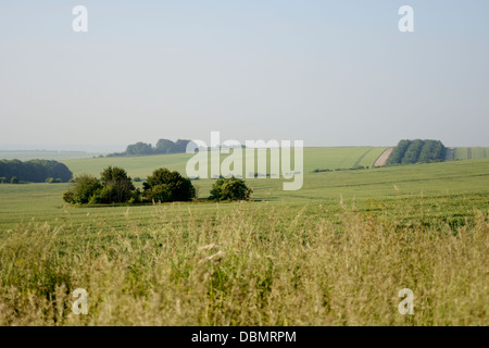 Les terres agricoles, les marcheurs ou bridleway, près de 'The Ridgeway' un ancien sentier sur la Berkshire downs, Oxfordshire, UK Banque D'Images