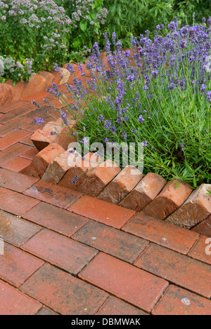 Chemin de jardin construite à partir de pavés de béton avec une bordure en dents de scie en bordure d'un housebrick lavande lit. Banque D'Images