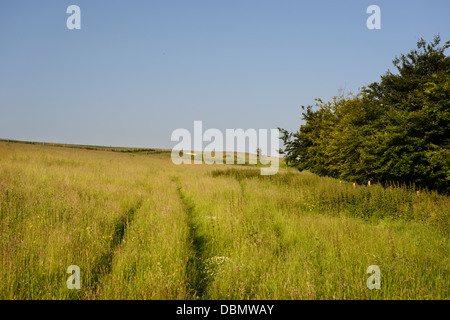 Les marcheurs ou bridleway, près de 'The Ridgeway' un ancien sentier sur la Berkshire downs, Oxfordshire, UK Banque D'Images