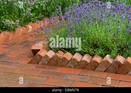 Chemin de jardin construite à partir de pavés de béton avec une bordure en dents de scie en bordure d'un housebrick lavande lit. Banque D'Images