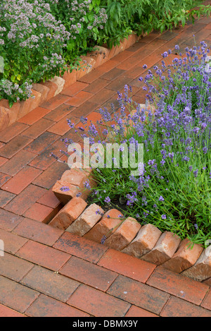 Chemin de jardin construite à partir de pavés de béton avec une bordure en dents de scie en bordure d'un housebrick lavande lit. Banque D'Images