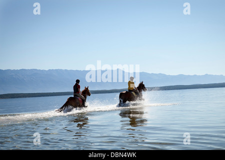 L'équitation dans la mer, de la Croatie, Dalmatie, Europe Banque D'Images