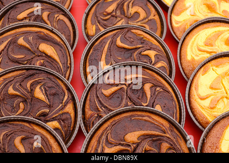 Tartelettes au chocolat et crème pâtissière tartelettes sur l'affichage Banque D'Images