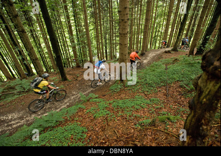 Vélo de montagne équitation sur sentier forestier, Eschenlohe, Bavière, Allemagne Banque D'Images