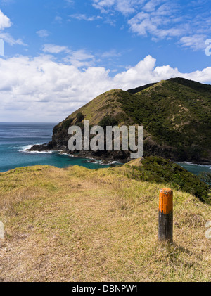 Dh du cap Reinga Nouvelle-zélande sentier Péninsule Aupouri seacliffs côte campagne pointe Banque D'Images