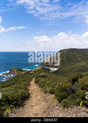 Dh du cap Reinga Nouvelle-zélande Sentier de l'arbre à thé au Manuka gommage Péninsule Aupouri bush coast Banque D'Images