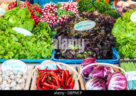 Un étal de légumes colorés au marché de la Place Guillaume II à Luxembourg. Banque D'Images