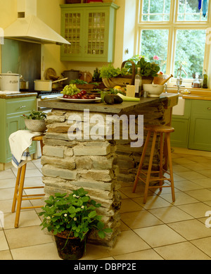 Fraisier en pot à côté de pierre brute, de l'unité de l'île en ardoise naturelle crème cuisine avec carrelage en céramique Banque D'Images