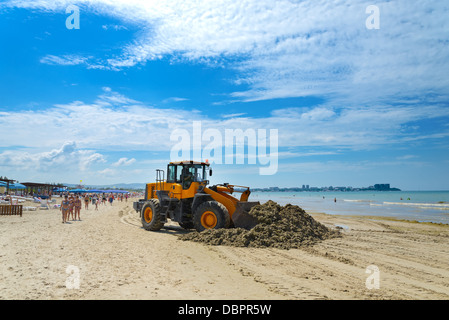 Le bulldozer Nettoie la saleté sur une plage après une tempête Banque D'Images