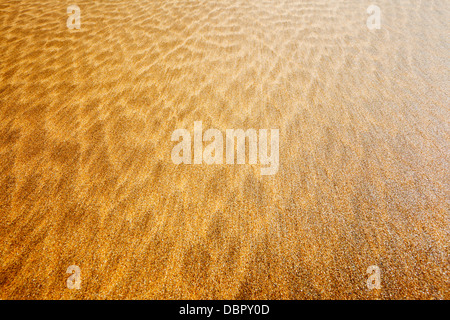 Large angle proche d'une plage de sable fin avec une texture marbrée. Banque D'Images