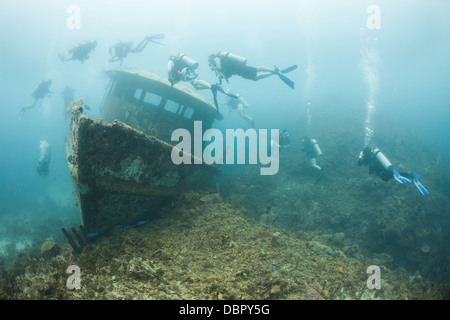 Les amateurs de plongée sous-marine autour de l'épave du M. Bud, un ancien bateau de pêche, sabordé au large de l'île de Roatan, Honduras Banque D'Images