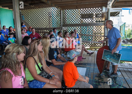 Sea Turtle Rescue Center Banque D'Images