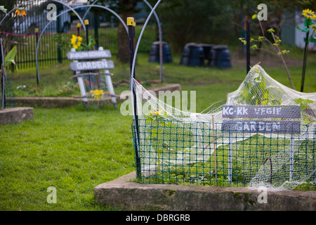 L'école primaire publique australienne potager, Sydney, Australie Banque D'Images