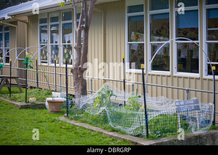 L'école primaire publique australienne potager, Sydney, Australie Banque D'Images