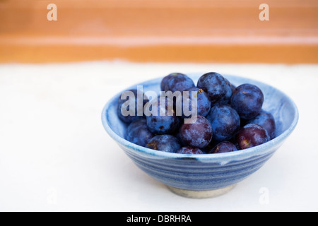 Prunus domestica. Bol de quetsche prunes sur le rebord de la cuisine. Banque D'Images