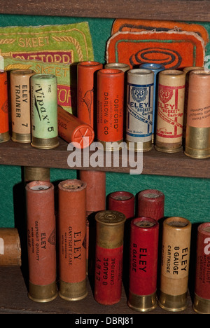 Une sélection de cartouches de fusil de chasse vintage Banque D'Images