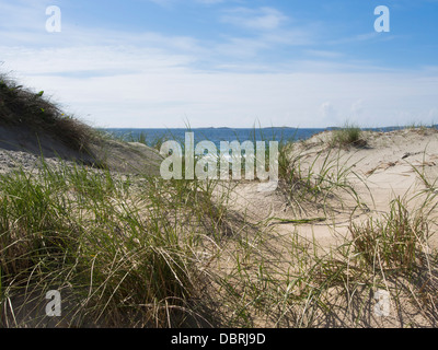 En dehors de la plage de Sola Stavanger, l'un des nombreux passages sablonneux sur la côte sud-ouest de la Norvège, de l'Oyat avec dunes de sable Banque D'Images