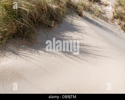 En dehors de la plage de Sola Stavanger, l'un des nombreux passages sablonneux sur la côte sud ouest de la Norvège, des dunes de sable blanc et l'ammophile Banque D'Images