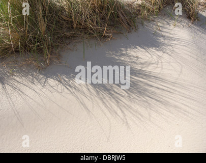 En dehors de la plage de Sola Stavanger, l'un des nombreux passages sablonneux sur la côte sud ouest de la Norvège, des dunes de sable blanc et l'ammophile Banque D'Images