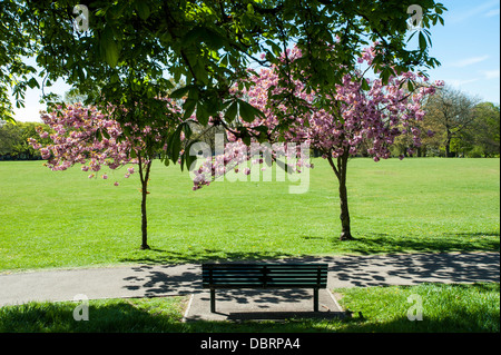 Acton Park, Londres, Royaume-Uni Banque D'Images