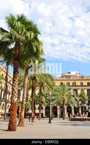 Barcelone, Espagne - 07 juillet, 2012 : palmiers donne sur la vieille ville, dans le centre de Barcelone Banque D'Images