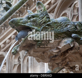 TOLEDO - 8 mars : Détail d'animal comme spoutler gothique dans la pluie à partir d'atrium de Monasterio de San Juan de los Reyes Banque D'Images