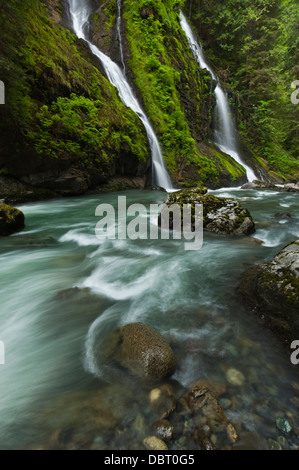 Cascade à côté de la rivière, Boulder Boulder River Wilderness, mont Baker-Snoqualmie National Forest, North Carolina, USA Banque D'Images